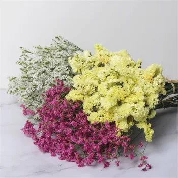 20pcsdried nu-ma-uita buchet de flori naturale, plante crăciun decorare nunta aranjament de flori Vaza