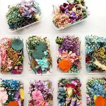 Amestecat Real Frumoase Flori Uscate Naturale Florale pentru Arta Ambarcațiunile de Scrapbooking de Rășină Bijuterii Ambarcațiunile de a Face Epoxidice Mucegai de Umplere