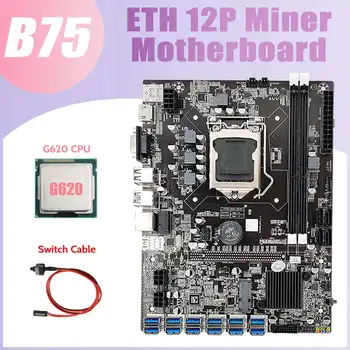 B75 ETH Miniere Placa de baza 12XPCIE Adaptor USB+CPU G620+Comutator Cablu LGA1155 MSATA DDR3 B75 USB Miner Placa de baza
